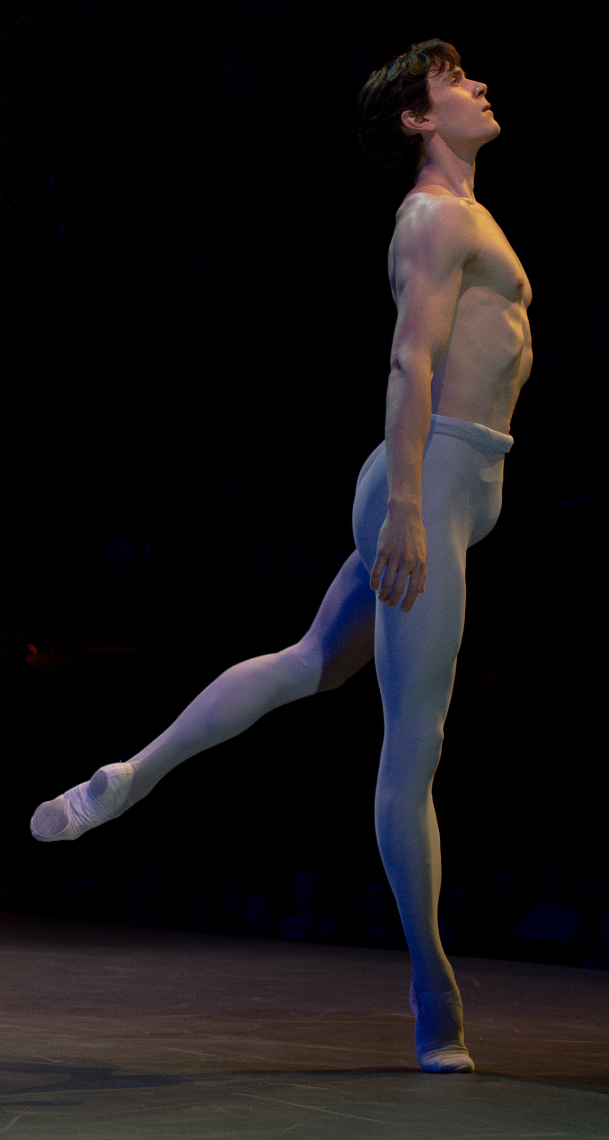 William Bracewell in Preliwd at Dance for Ukraine