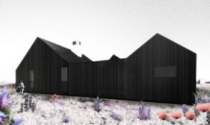 Botton_Dungeness