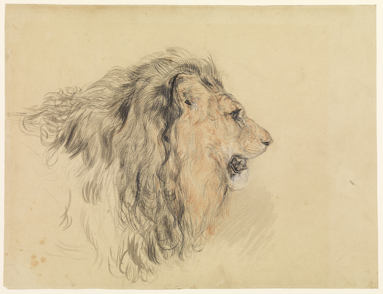 Edwin Landseer / Rachel Maclean, National Gallery