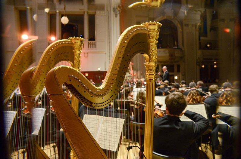 Harps for Ma Vlast