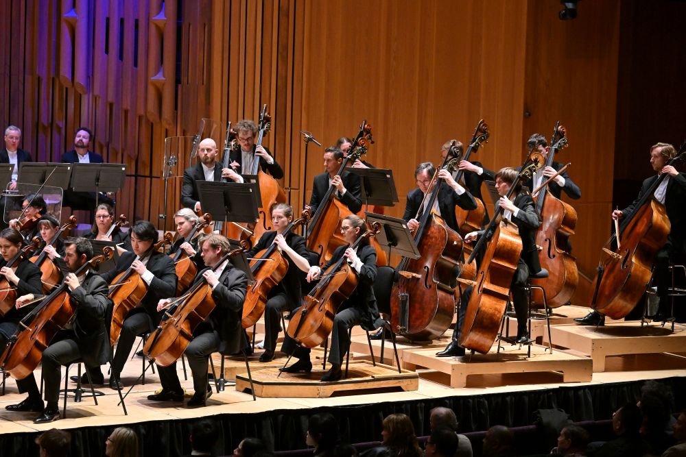LSO cellos and basses