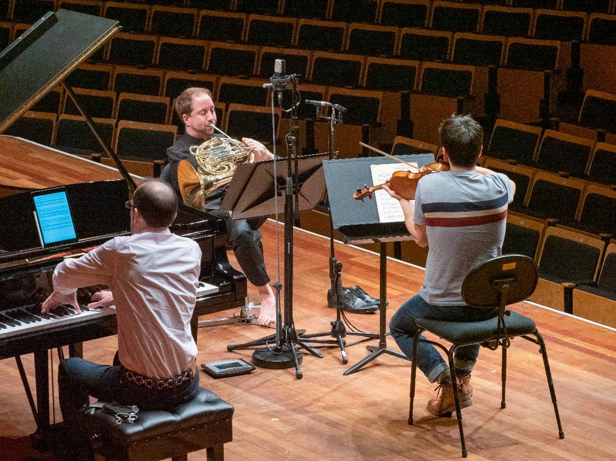 Brahms Horn Trio in rehearsal