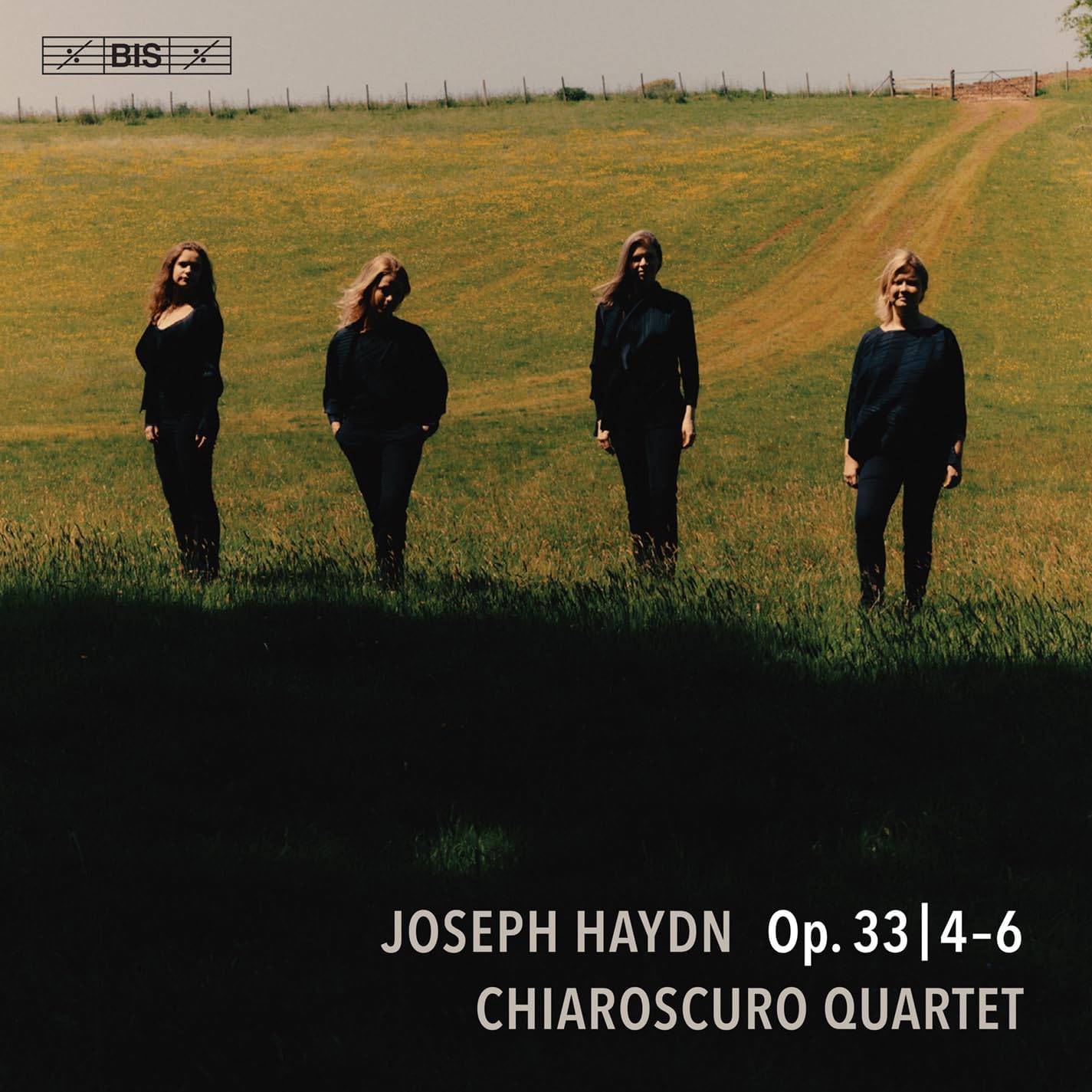 Haydn BIS