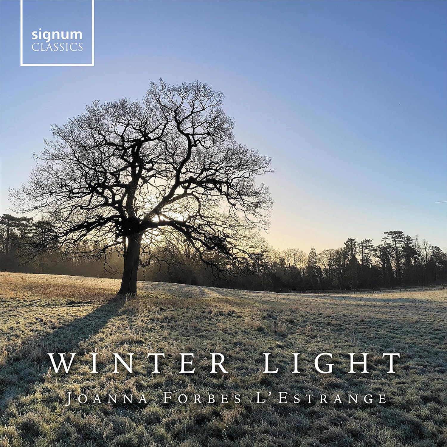 L'estrange winter