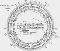 circular_score