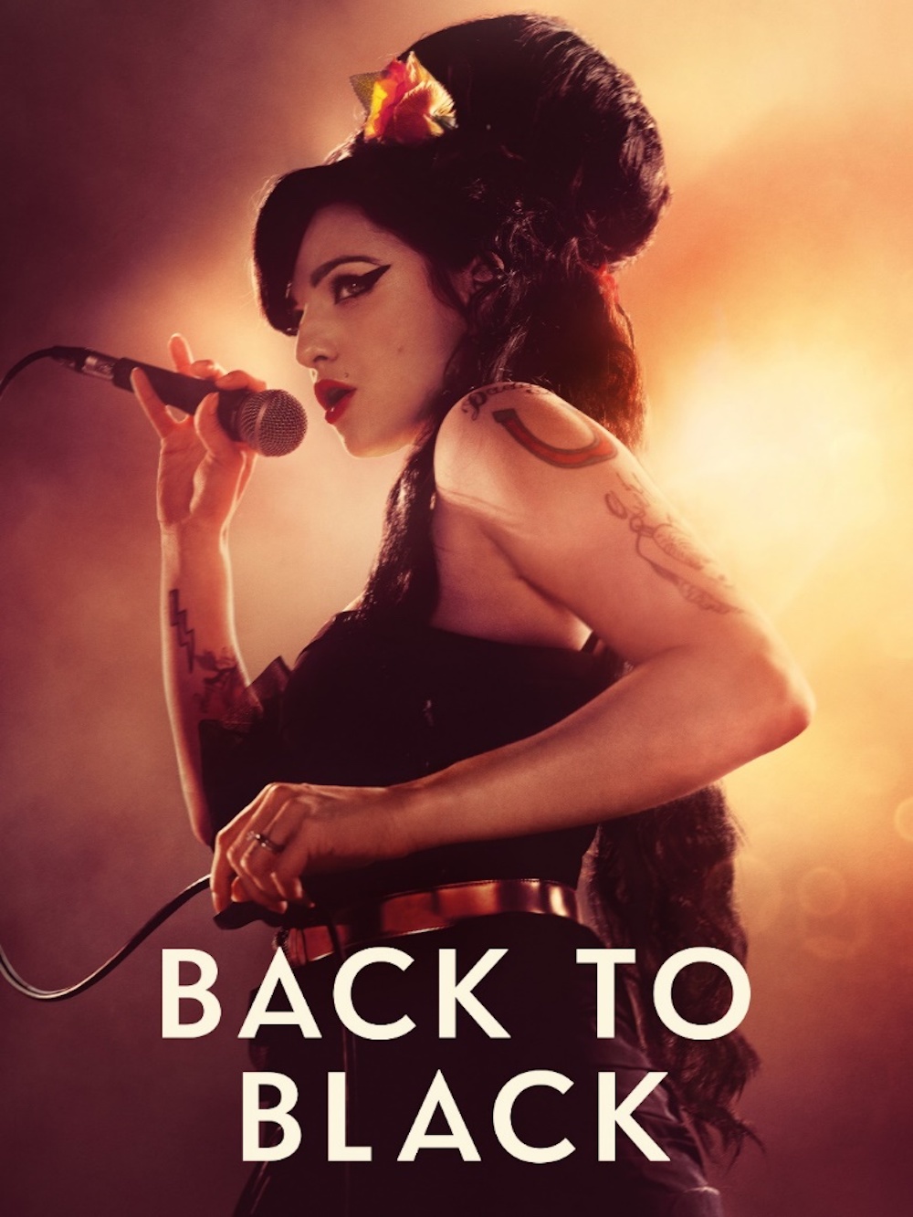 cover amy