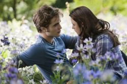 eclipseflowers