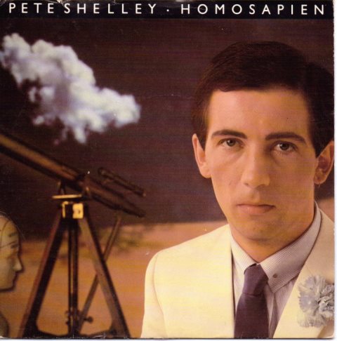 pete shelley homosapien single