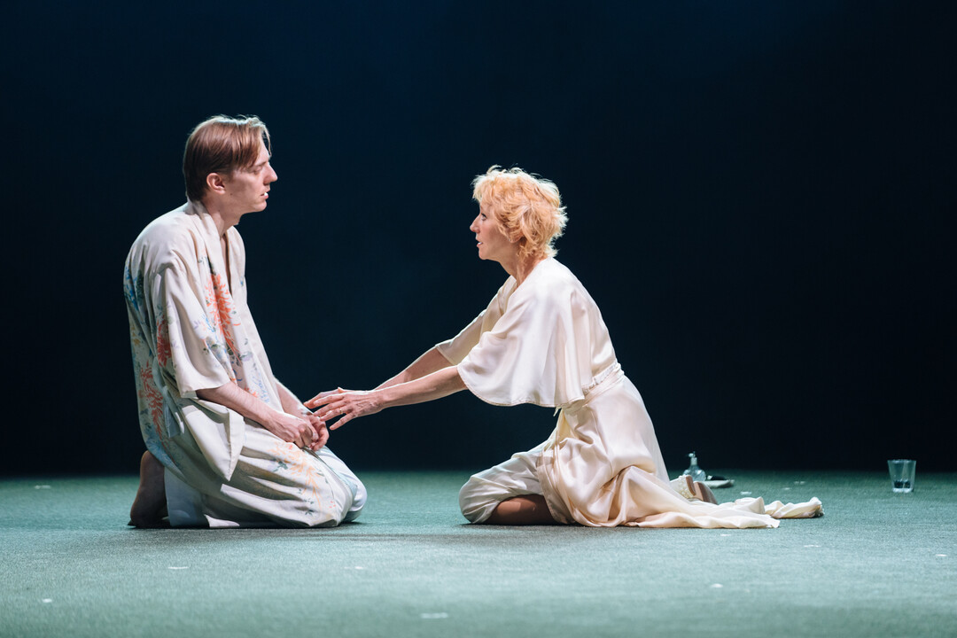 Joshua James, Lia Williams in The Vortex